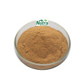 Natural High Quality Hazelnut Extract Powder